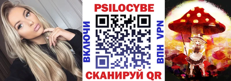 Псилоцибиновые грибы Psilocybine cubensis  Абакан 